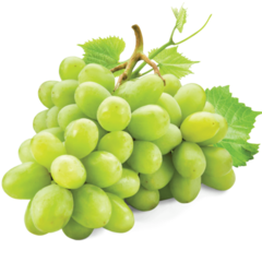 EnglishGrape